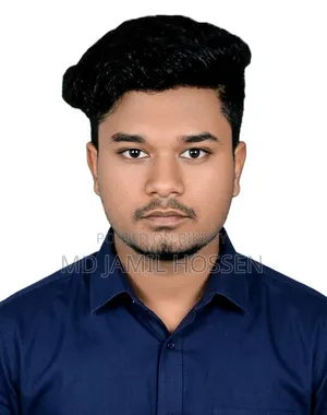 Cv of Md Jamil