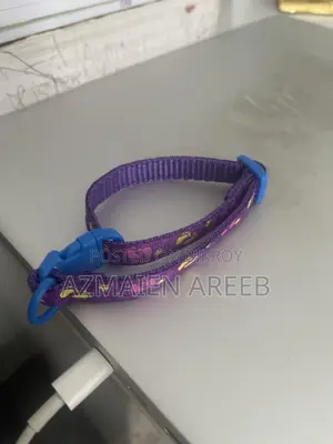 প্রিমিয়াম লাইটওয়েট বিড়ালের কলার