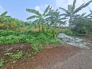 রাজউক পূর্বাচলে দক্ষিণমুখী ১০ কাঠা প্লট বিক্রি