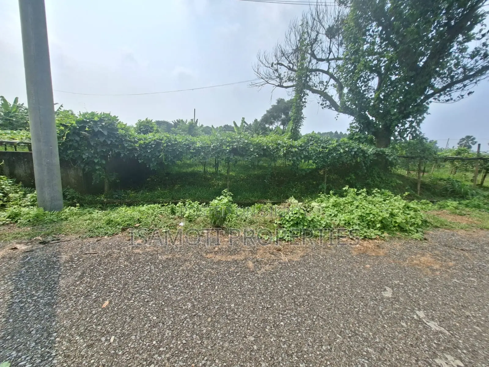 কম বাজেটের ৫ কাঠা পূর্বাচল সেক্টর ২৫