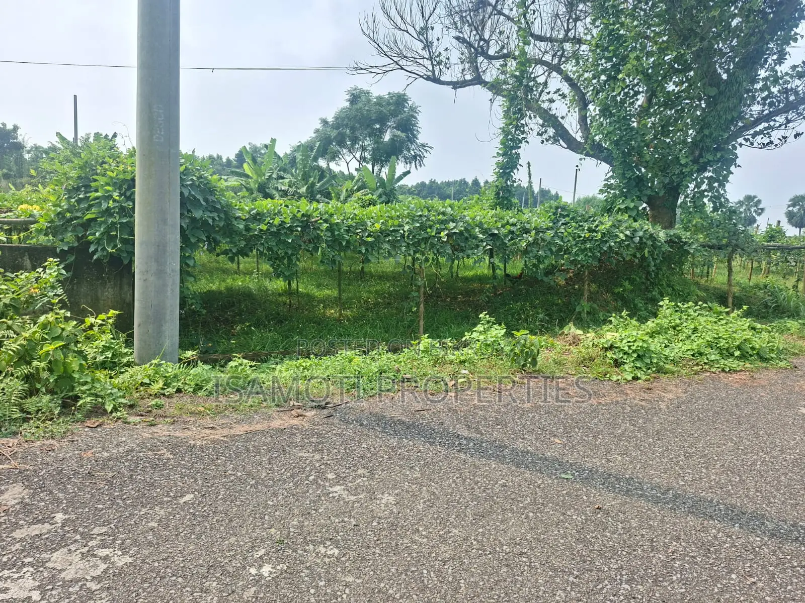 কম বাজেটের ৫ কাঠা পূর্বাচল সেক্টর ২৫