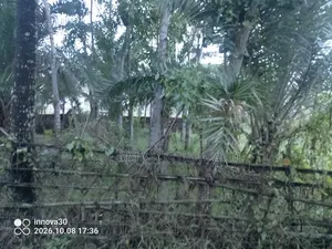 Two Kathas and Four Kathas of Land for Sale