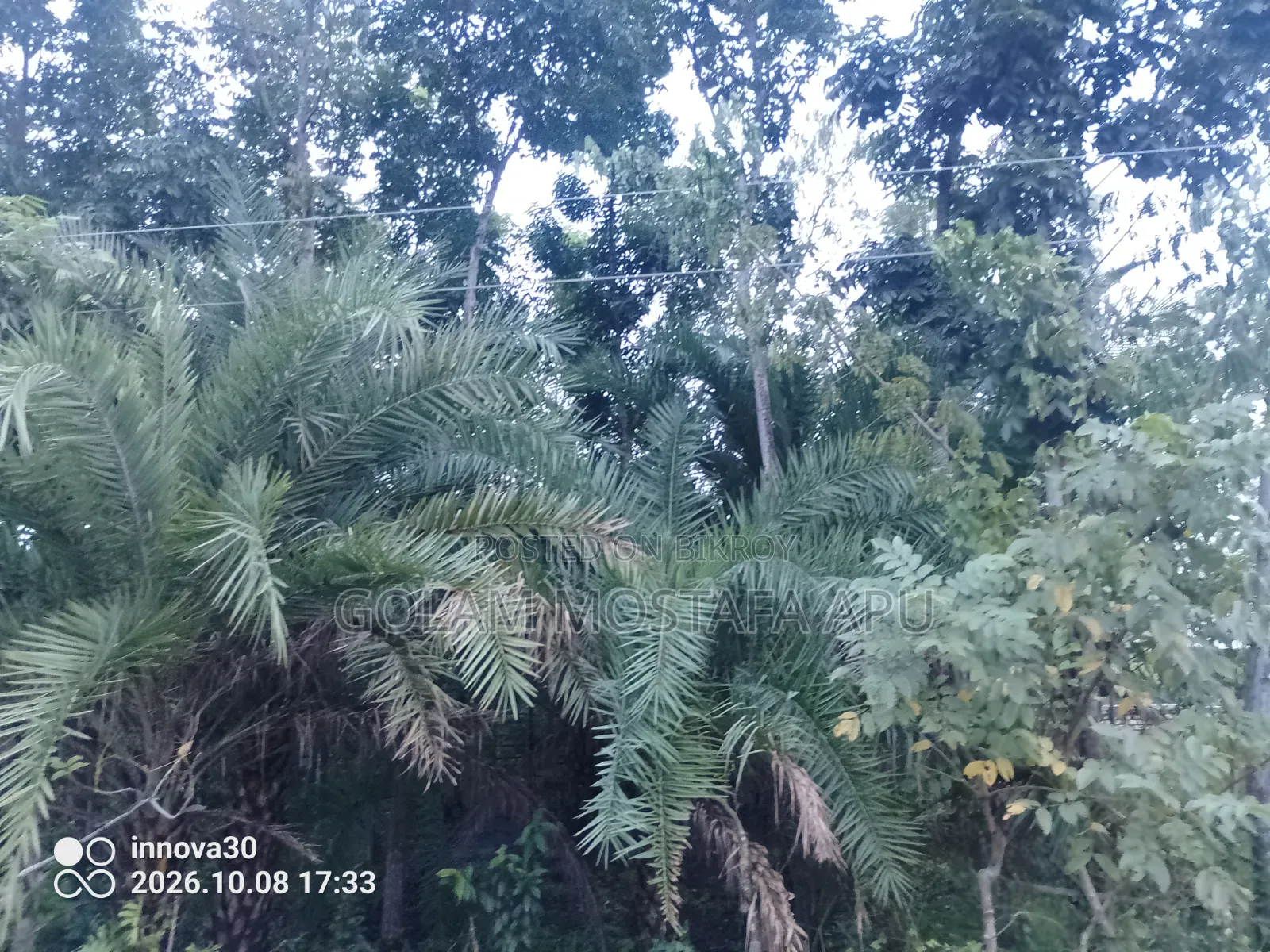 Two Kathas and Four Kathas of Land for Sale