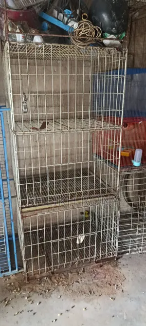 পাখির ও কবুতরের খাঁচা
