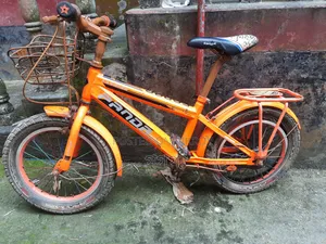 Good Bicycle
