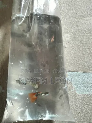 Guppy Fish বিক্রি হবে