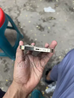 অ্যাপল আইফোন ১৩ প্রো ২৫৬ জিবি গোল্ড