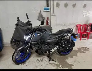 Yamaha FZ 2025 Gray