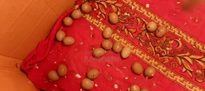 King Quail breeding eggs