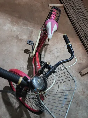 মেয়েদের জন্য বাইসাইকেল