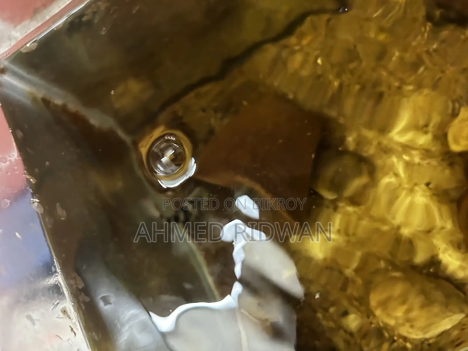 পোলার প্যারট রানিং মাস্টার জোড়া