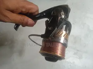 Fishing Rod and Reel for Sale