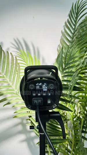 Godox SL60IID LED Video Light + Simpex Light Stand