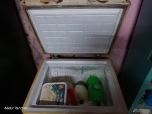 ডিপ ফ্রিজ বিক্রয়