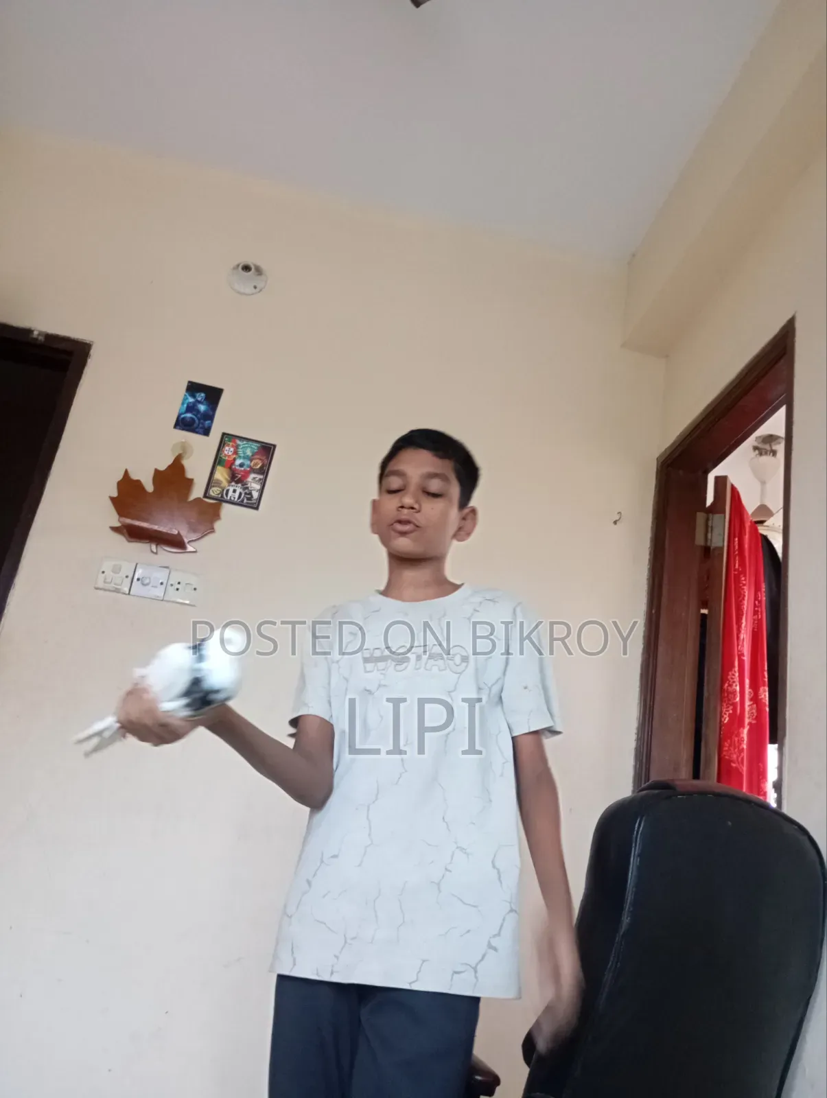 এটি মাখ সি জাতের কবুতর রেসিং এটি খুব সহজে বাসা চেনানো যায়