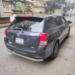 Toyota Axio 2013 Black
