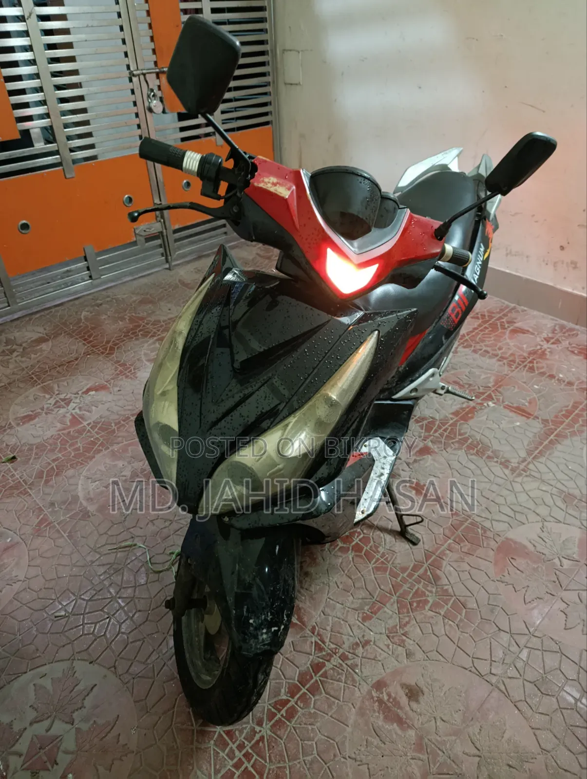 বির ম্যাগনাম ২০২২ রেড