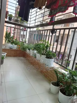 ঢাকা উদ্যানে ৩ বেডরুমের অ্যাপার্টমেন্ট ভাড়া হবে