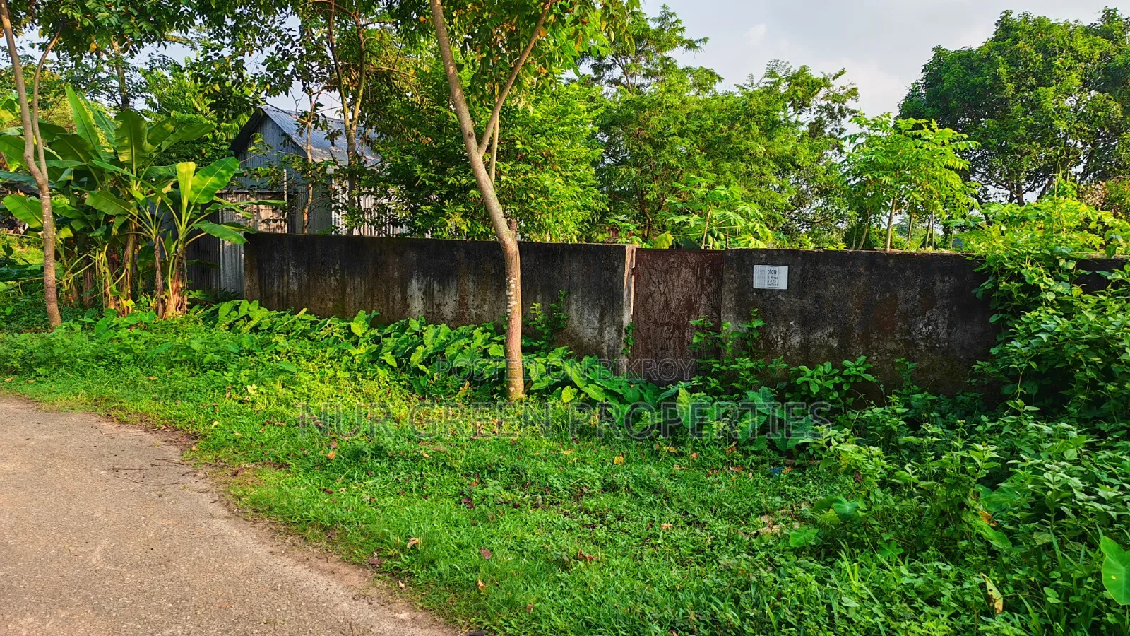 3 Katha South-Facing Plot for Sale