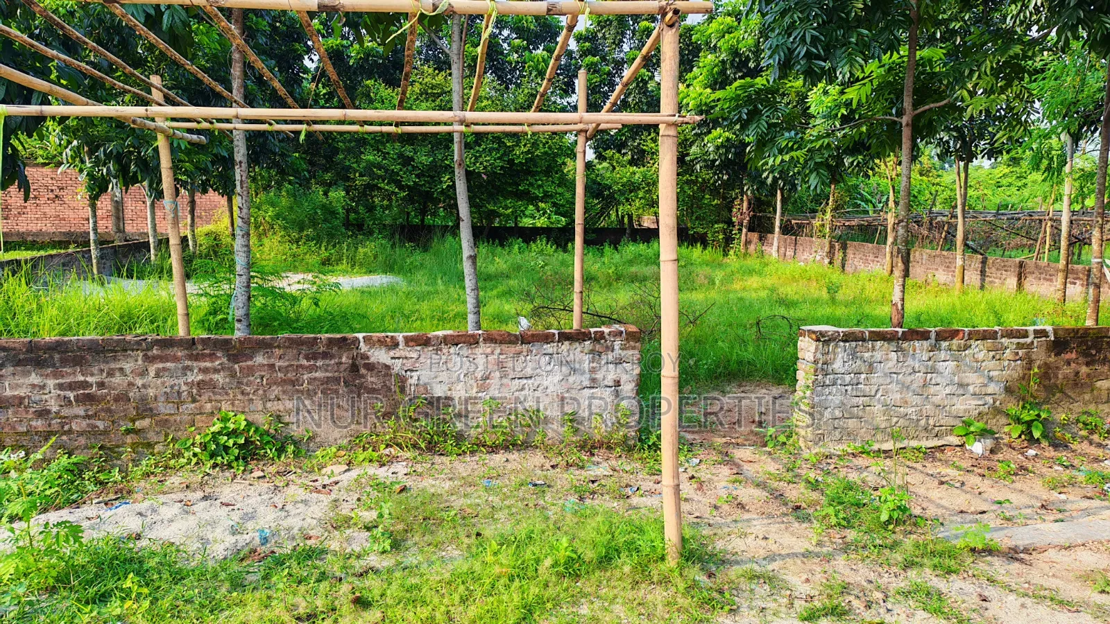 3 Katha South-Facing Plot for Sale