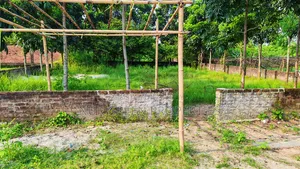 3 Katha South-Facing Plot for Sale