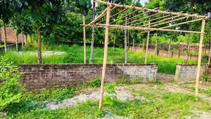 3 Katha South-Facing Plot for Sale