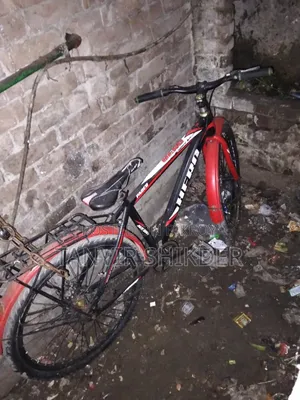 Hero Non Gear Bicycle