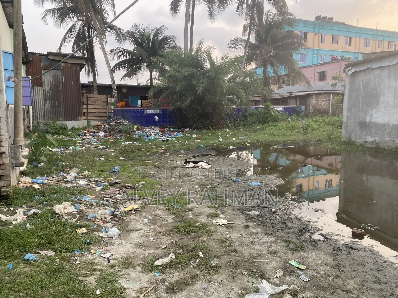 7 Decimal Land for Sale Kaunia Barishal