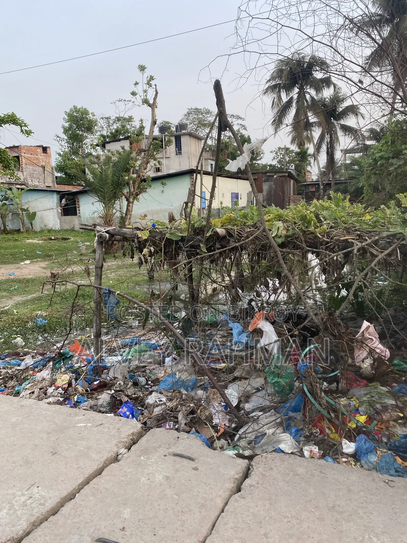 7 Decimal Land for Sale Kaunia Barishal