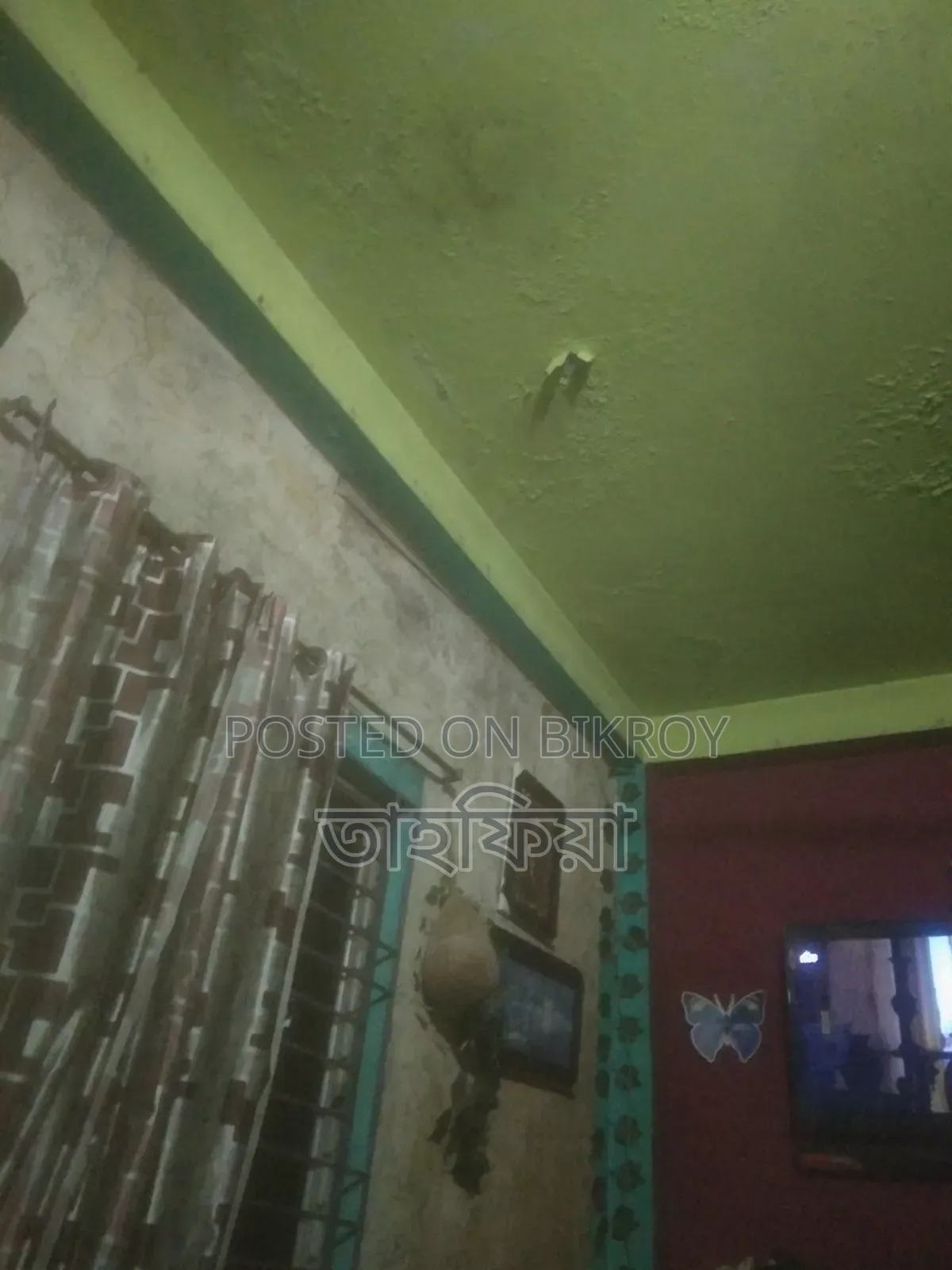 House with Land and Road for Sale