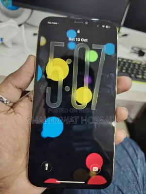 অ্যাপল আইফোন ১২ প্রো ম্যাক্স ২৫৬ জিবি গোল্ড