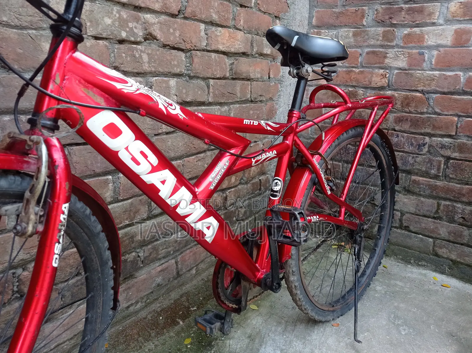 Bicycle, Cycle