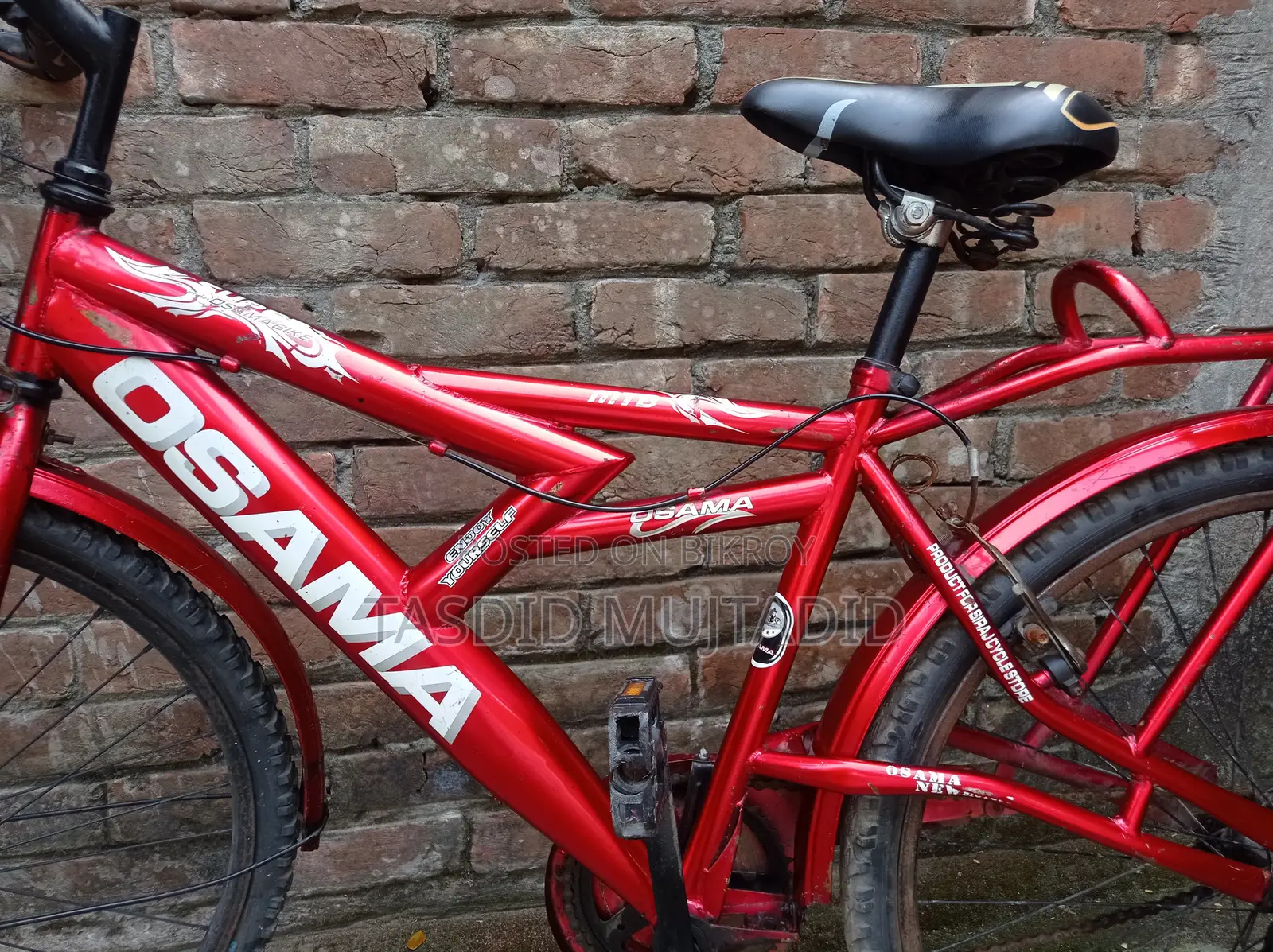 Bicycle, Cycle