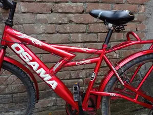 Bicycle, Cycle