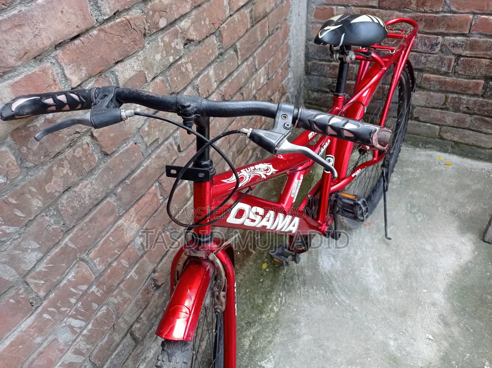 Bicycle, Cycle