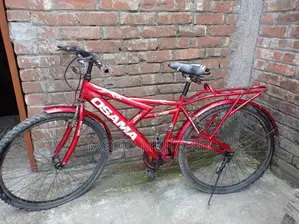 Bicycle, Cycle