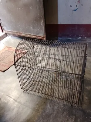 পাখির খাঁচা