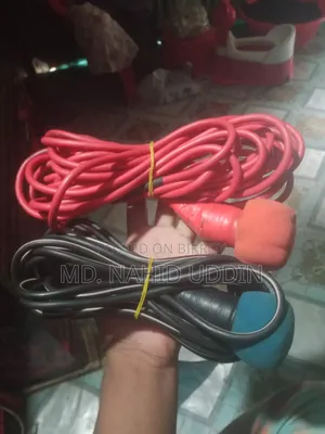 Panasonic Microphone