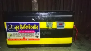 An AC Plus DC System Incubator Machine for 80 to 100 Eggs 