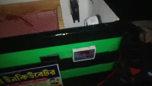 An AC Plus DC System Incubator Machine for 80 to 100 Eggs