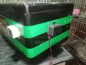 An AC Plus DC System Incubator Machine for 80 to 100 Eggs