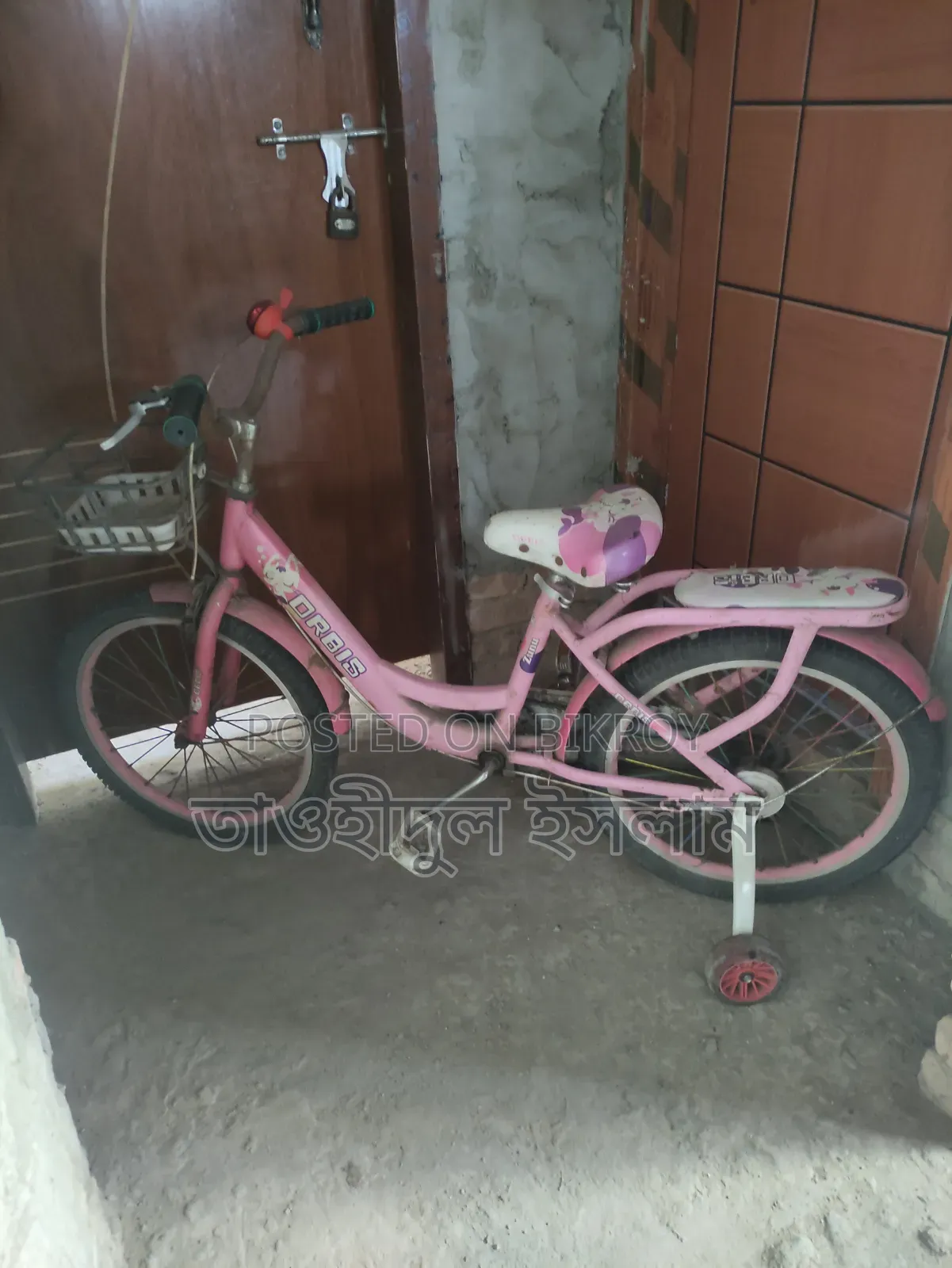 Female Cycle