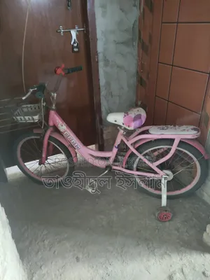 Female Cycle