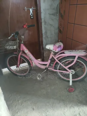 Female Cycle