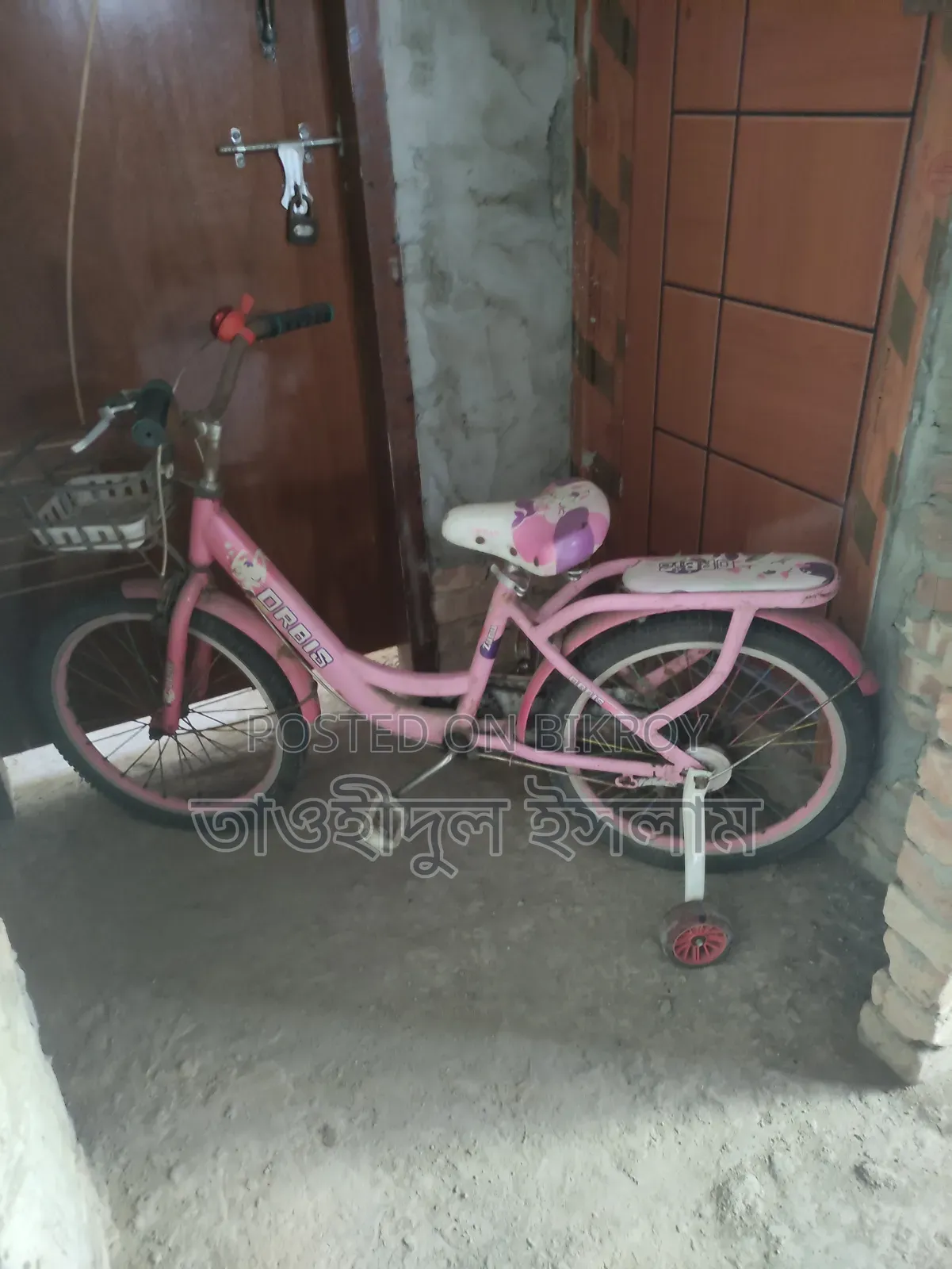 Female Cycle