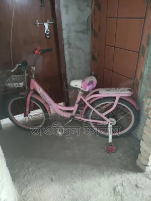 Female Cycle