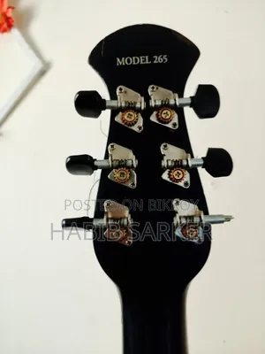 Signature Guitar