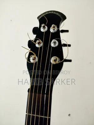 Signature Guitar