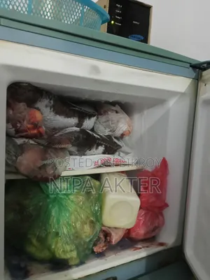 TCL Fridge