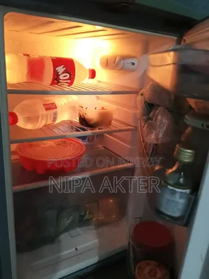 TCL Fridge